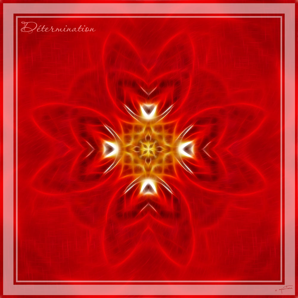 Mandala of Determination
