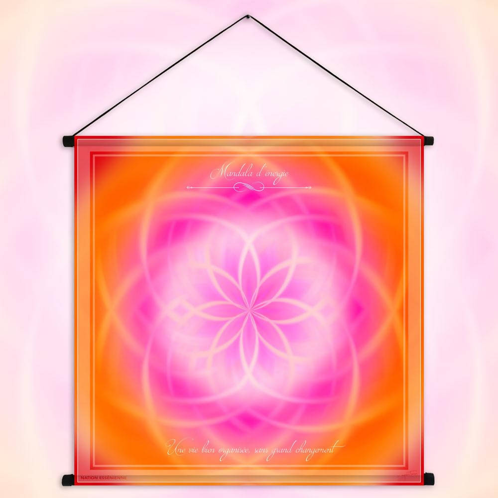 A well-organized life, without major changes - Energy Mandala