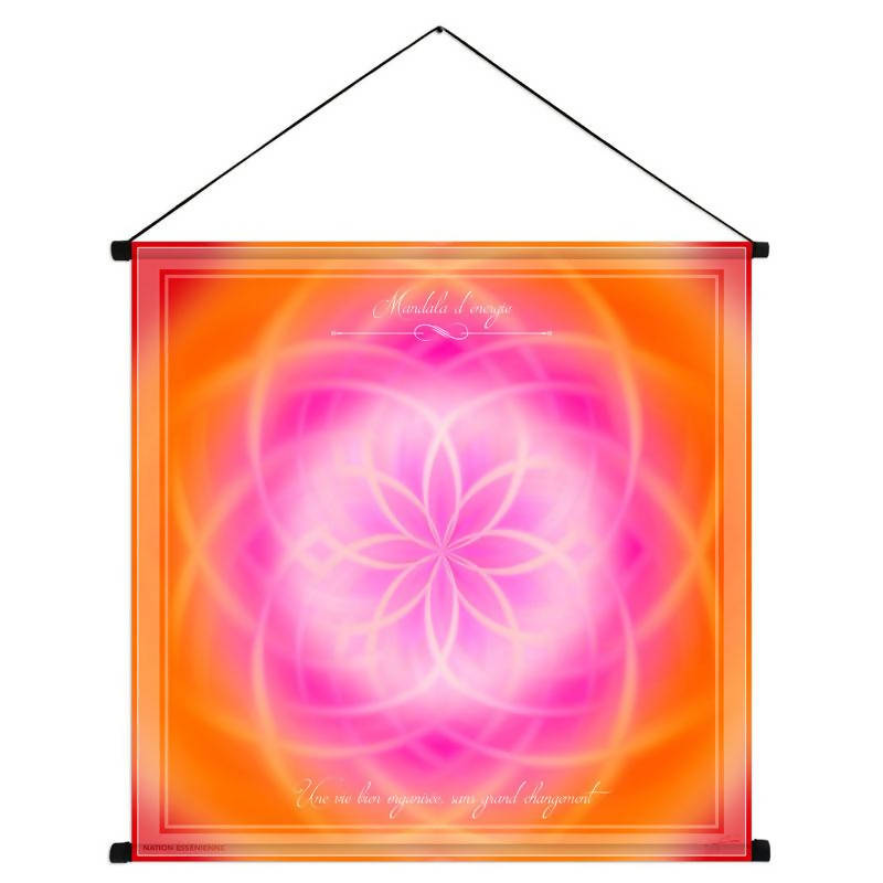 A well-organized life, without major changes - Energy Mandala