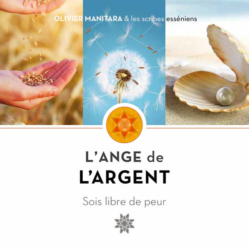 L'ange de l'argent - FORMAT PDF