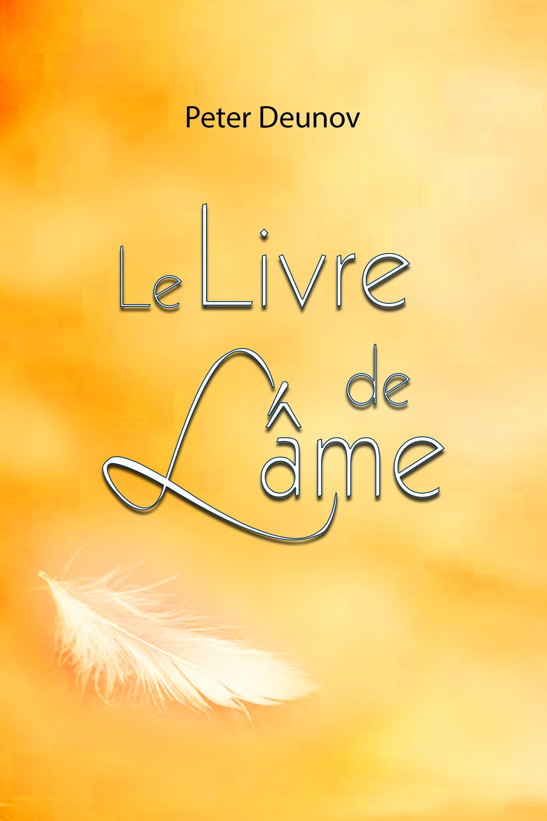 Le livre de l'âme