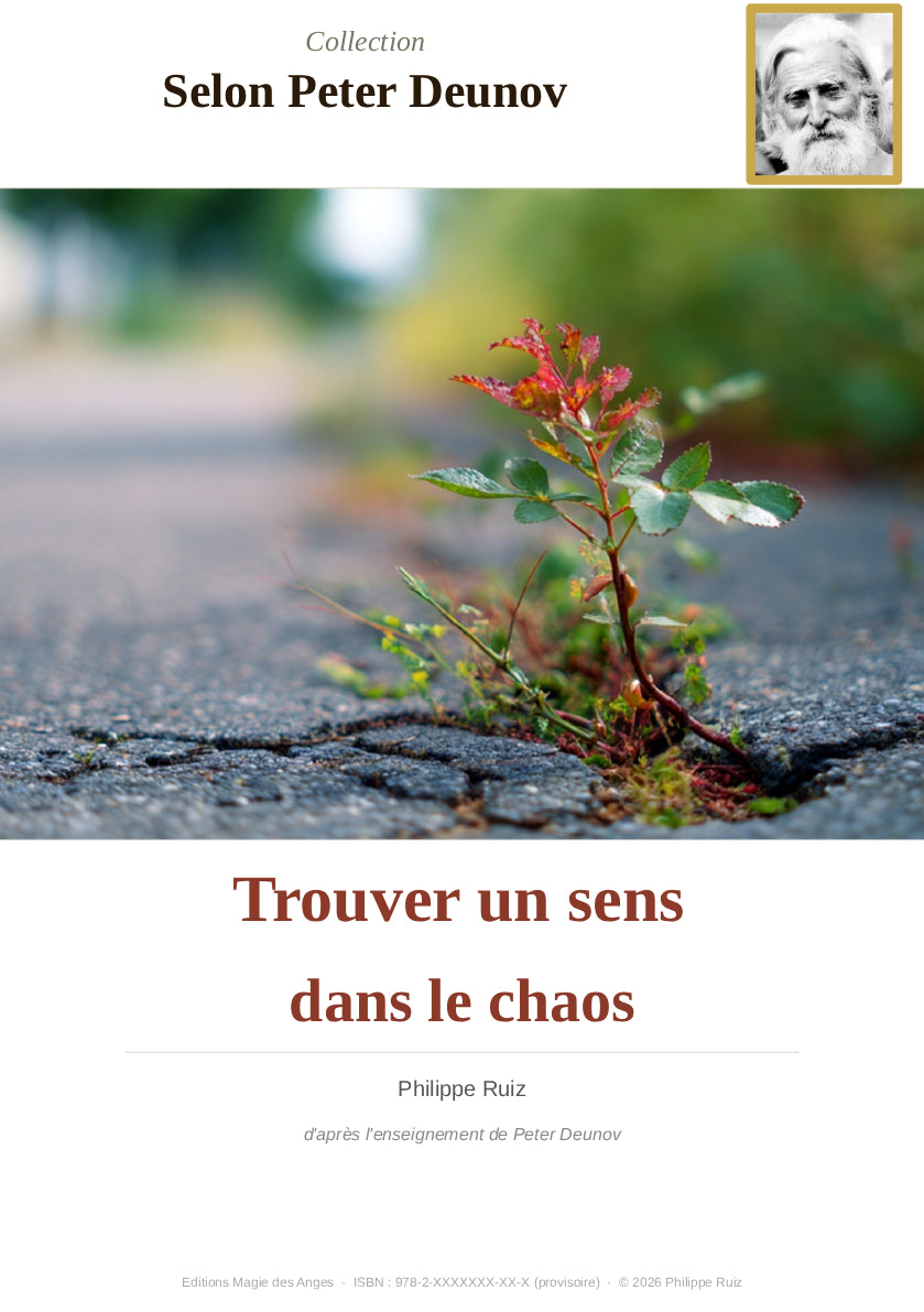 Finding Meaning in Chaos