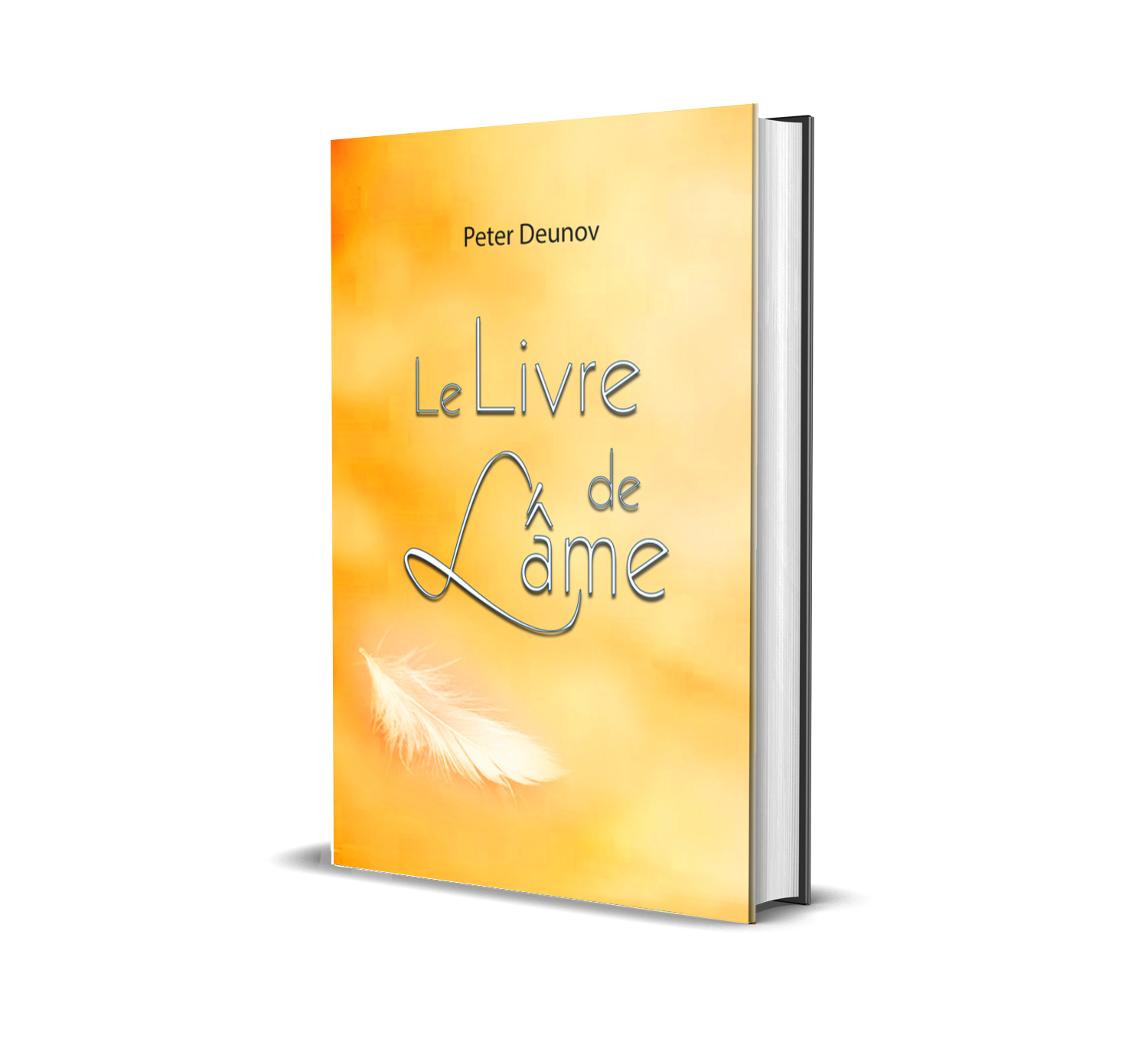 Le livre de l'âme