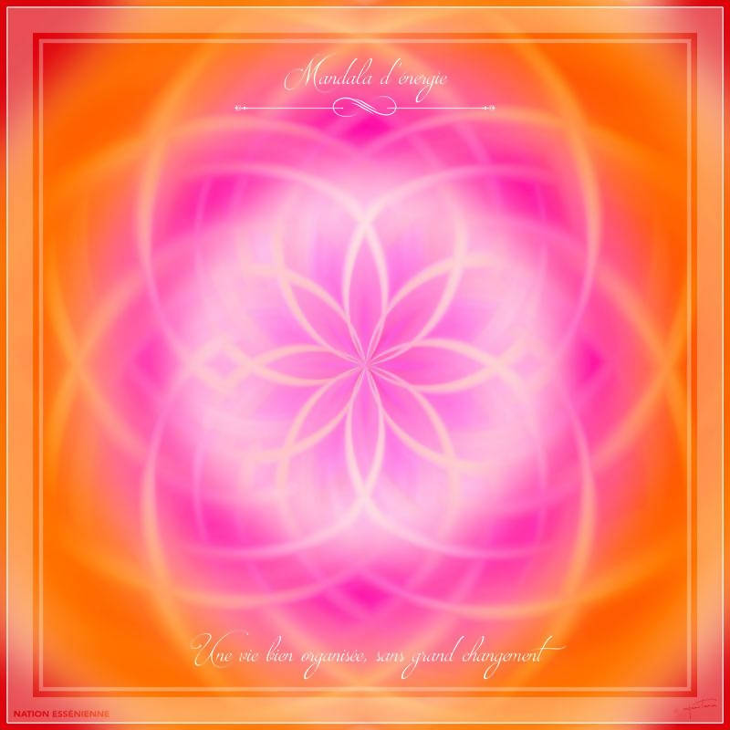 A well-organized life, without major changes - Energy Mandala